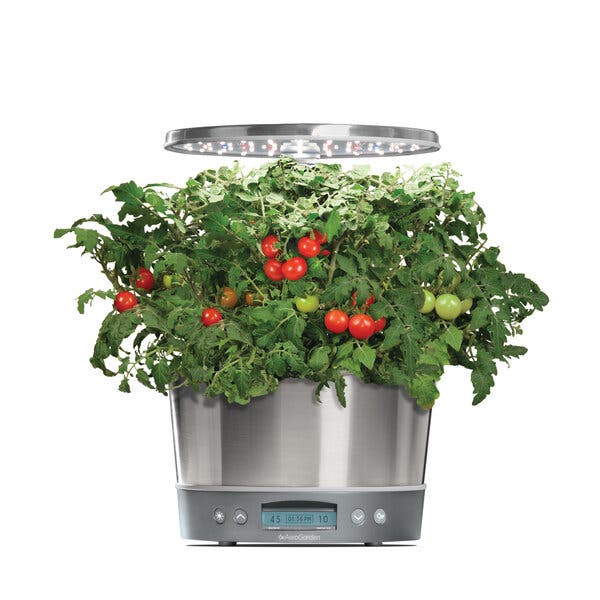 A hydroponic garden kit, complete with tomatoes, from AeroGarden.